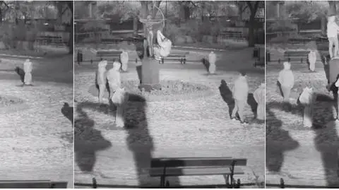 Bydgoszcz: Sesja po pijaku, uszkodzony pomnik