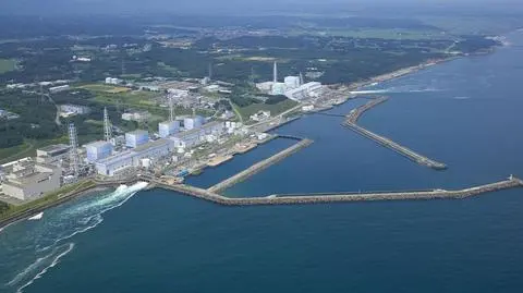 Fukushima I nie mogła obronić się przed tsunami