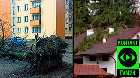 Emma łamie drzewa i zrywa dachy - informują internauci