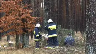 Pierwsi na miejscu pojawili się strażacy 