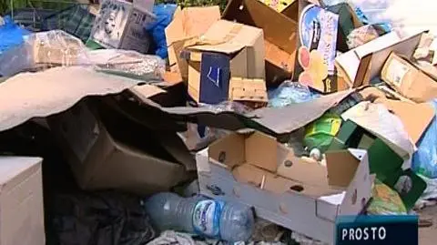 Wrocław w śmieciach tonie