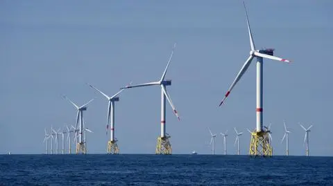 Fakty i mity o elektrowniach wiatrowych