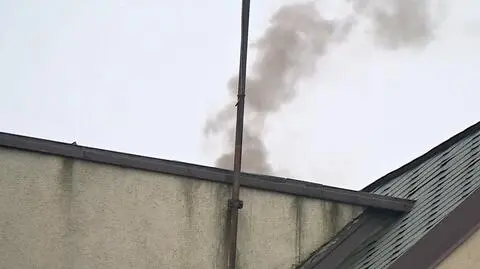 "Polska i Świat". Na wojnie ze smogiem