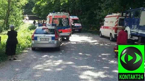 Drzewa runęły na pięć osób