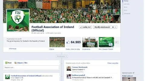 Poznań na zdjęciu "irlandzkiego PZPN-u"