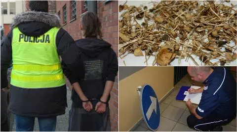Sopot: Mężczyzna zatrzymany z grzybami halucynogennymi