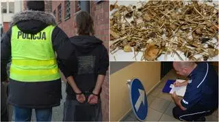Mężczyzna zamiał grzyby halucynogenne