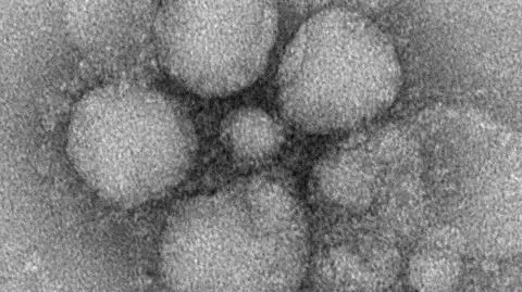 MERS zabił w Niemczech