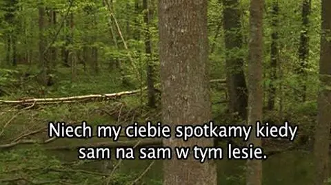 Wojna w puszczy. "Będziemy topić w tym bagnie"