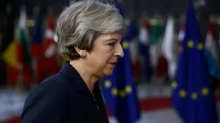 Brexit to wiele znaków zapytania ("Fakty o Świecie" z 17.01.2019)
