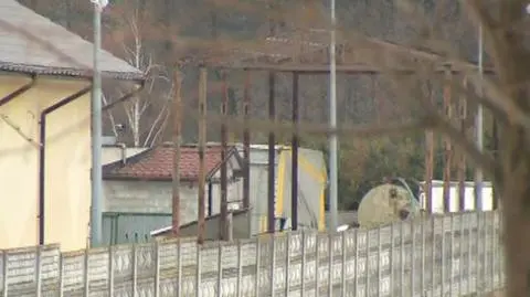 100 ton mięsa niewiadomego pochodzenia w ukrytym magazynie