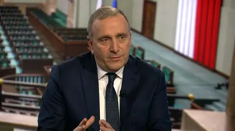 Grzegorz Schetyna w "Faktach po Faktach"