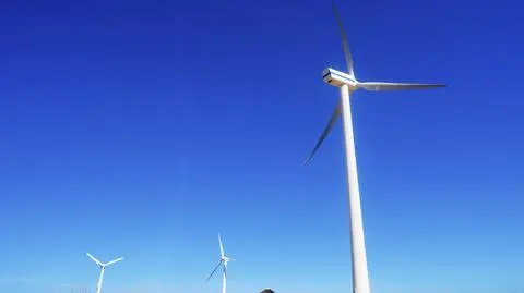 PiS zabiera się za farmy wiatrowe
