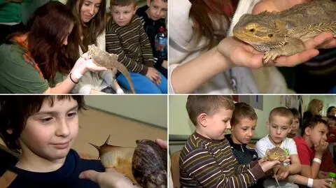Zwierzaki z wizytą u małych pacjentów. Pomagają przetrwać szpitalną traumę