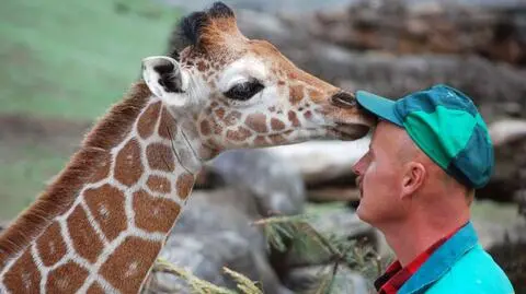 Maluchy z wrocławskiego zoo pokazują się już zwiedzającym