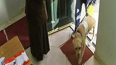 Labrador w meczecie