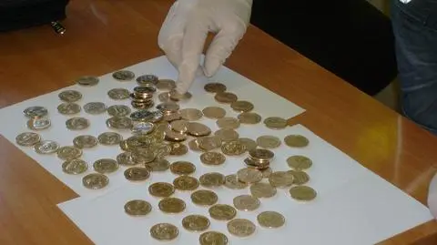 Zarzuty dla trzech mężczyzn. Zamiast złotych monet - jednodolarówki