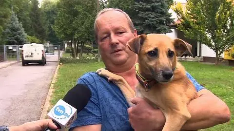 Kraków. Smutny rekord w krakowskim schronisku dla zwierząt