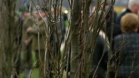 Dęby rosną dla ofiar Katynia