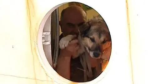 Pies z kry wyruszył w rejs