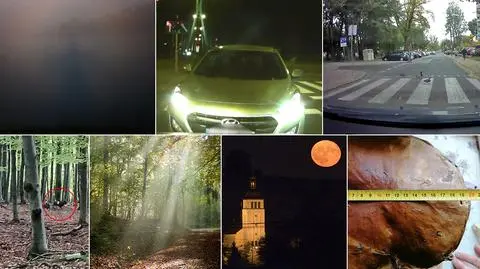Widmo Brockenu, kaczki na pasach czy olbrzymi grzyb? Wybierz materiał miesiąca