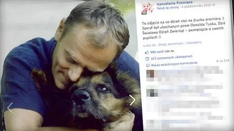 998 "lajków" pod zdjęciem Donalda Tuska z psem, czyli premier w liczbach