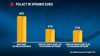 Co Polacy myślą o euro