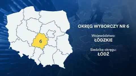 Kandydaci do europarlamentu. Okręg 6