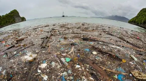 Cameron i Kerry apelują o rozszerzenie programu ochrony oceanów