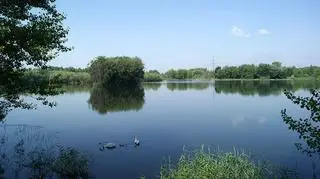 59-latek utonął w Przylasku Rusieckim