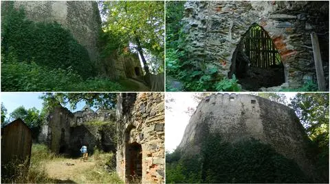 Internetowa zbiórka na kupno Zamku Gryf