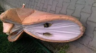 Zniszczony nos odnaleziono w Rokietnicy