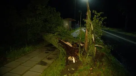 Ofiary śmiertelne, powalone drzewa i zniszczenia. Nawałnice nad Polską