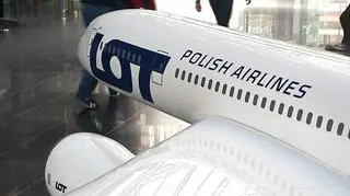 W przetargu wygrała oferta PLL LOT 