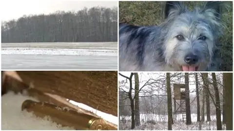 Myśliwy zastrzelił psa