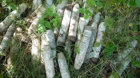37 bomb lotniczych znaleziono w lesie