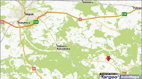 Wpadła w poślizg, uderzyła w drzewo. Zginęła jej 6-letnia córka