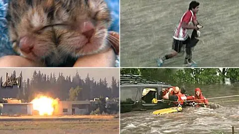 "Obcy" w Chinach i kociak z dwoma pyszczkami. Kto lub co zaskoczyło Was najbardziej?