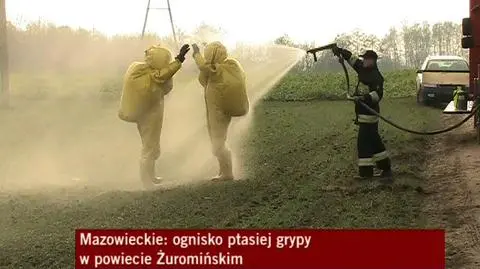 Ewa Lech o nowym ognisku ptasiej grypy pod Żurominem
