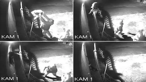 Wrzucili psa przez płot schroniska