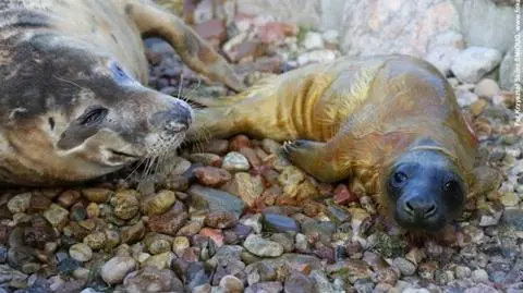Pierwsza w tym roku urodziła Ania