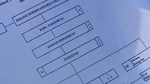 Wyrok zakazał bycia prezesem. Została dyrektorem