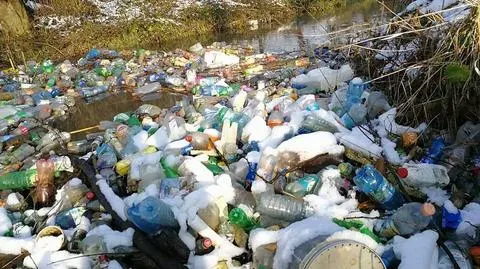 Śmieci w Dolinie Prądnika 