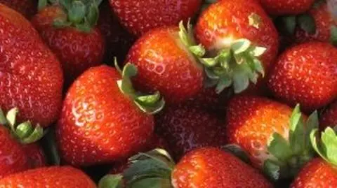 Truskawki łamią blokadę