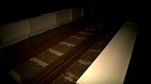 Ojciec przechodził z córkami przez wiadukt