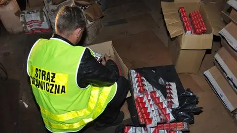 Nielegalny tytoń ukryty w szopie