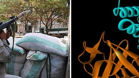 "NYT": Al-Kaida szykuje broń biologiczną