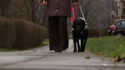 Niewidoma u okulisty. Bez psa przewodnika