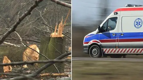 Śmierć przy wycince. Drzewo zabiło dziadka. Wnuk ze złamaną ręką