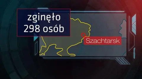 W katastrofie samolotu zginęło 298 osób